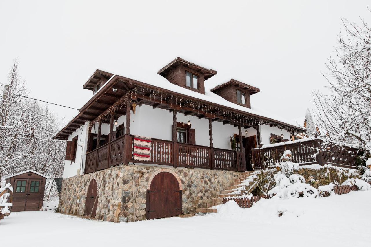 Casa Cu Cerdac Villa Nucsoara  Exterior photo