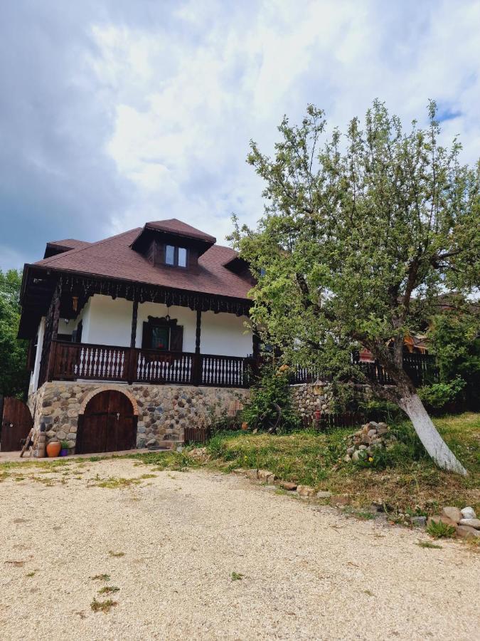 Casa Cu Cerdac Villa Nucsoara  Exterior photo